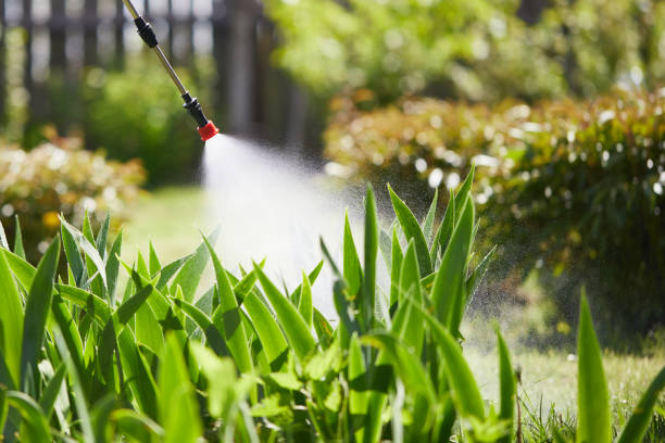 Tamper-Resistant Bait Stations for Rodents in Bunker Hill
