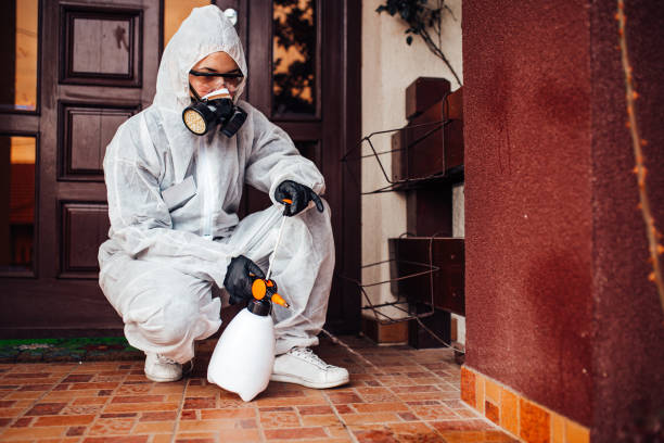 Attic and Crawl Space Rodent Treatment in Bunker Hill